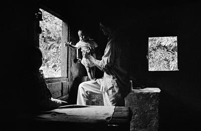 Família de Picinguaba #10