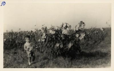 Fotografia; autor: Não identificado