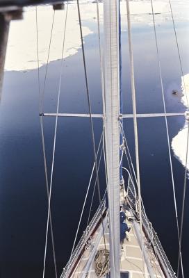 Aventuras de Igor na Antártida