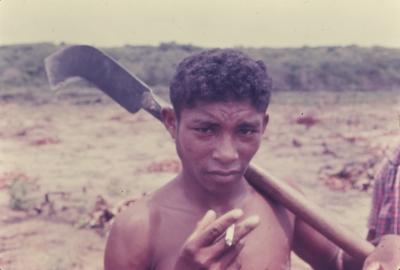 Roça no Quilombo de Sibaúma