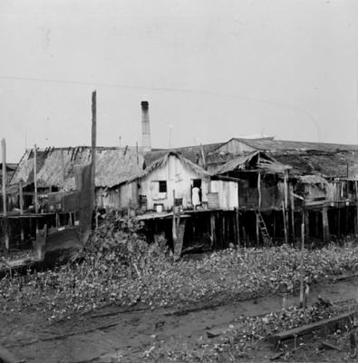 Vila da Barca, palafitas flutuantes