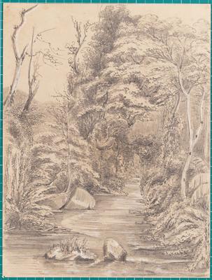 Napau[?] - Petropolis near the Baron de Maua's House - March 6th 1855 -