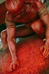 Série Xingu - Homem do povo Mehinako prepara a pasta de urucum