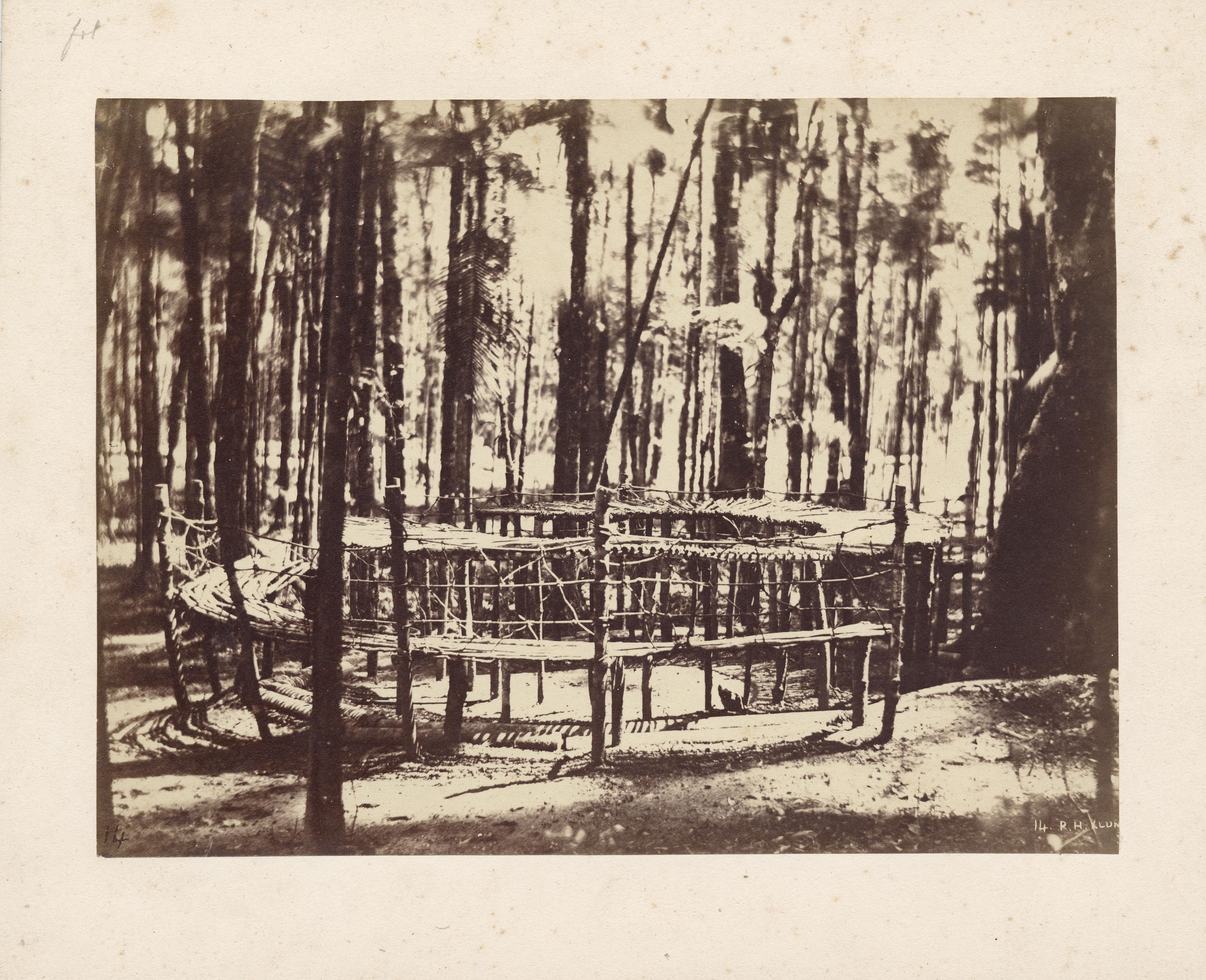 Colônia D. Pedro II