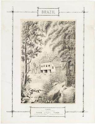 Brazil. Tijuca. Vista tirada do Hotel Whyte. Tijuca. Vue prise de l'Hôtel Whyte. Tijuca. View taken below Whyte's Hotel