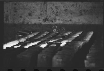 Em busca de fazendas para locacações do filme Os Herdeiros, de Cacá Diegues