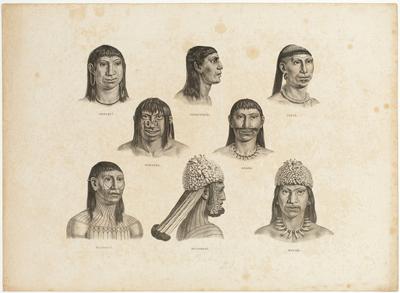 (Aruaquís, catauuixis, iupás, miranhas, araras, munducurús, mauées)