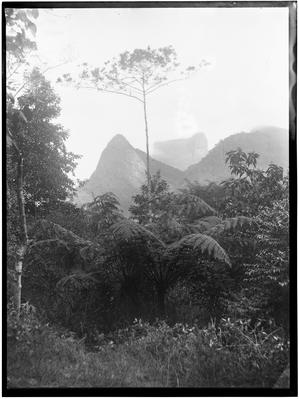 Vista da Pedra da Gávea