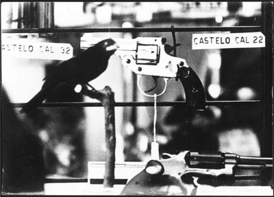 Paranoia: “havia um revólver"