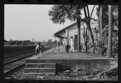 Em busca de fazendas para locacações do filme Os Herdeiros, de Cacá Diegues