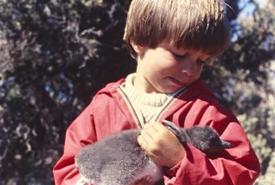 Aventuras de Igor na Antártida