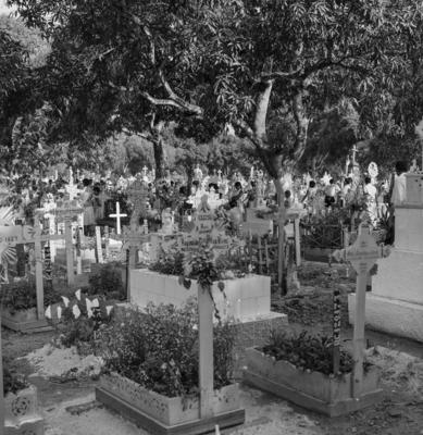 Alumiação, festa popular