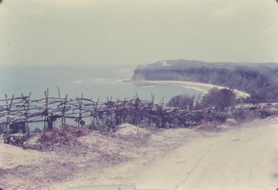 Estrada no litoral sul