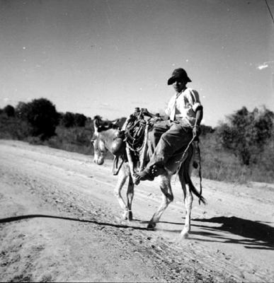 Romeiro montado em jegue