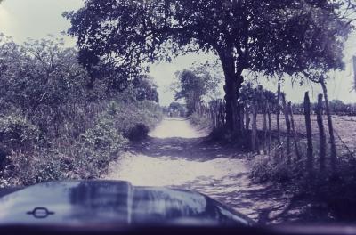 Estrada no litoral sul