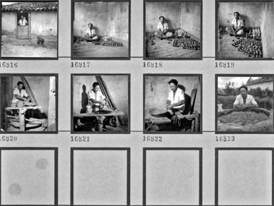 Severino de Tracunhaém