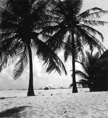 Jangadas e jangadeiros