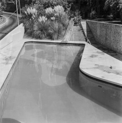 Residência Alberto Niemeyer, painel aquático