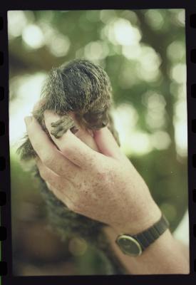 Parque de Noé, onde morava Marc van Roosmalen