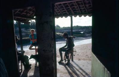 Série Caranguejeiras