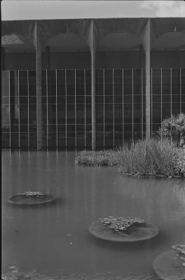 Ministério das Relações exteriores