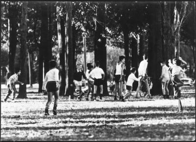 Paranoia: “as brancas lacerações"