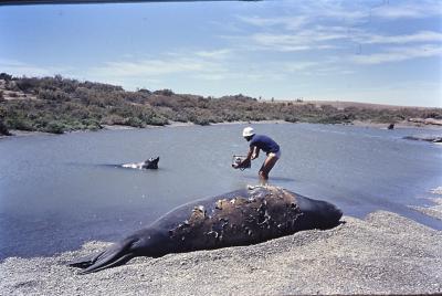Jorge Bodanzky filmando
