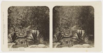 Jardim Botânico, cascata