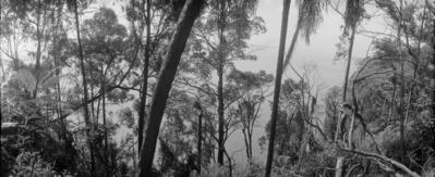 Represa de Guarapiranga