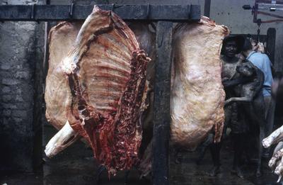 Série Bahia Antiga e Nova - Matadouro