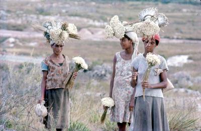 Série Minas - População local