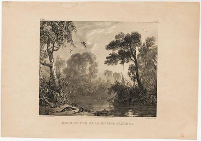 (Embocadura do Rio Cachoeira)