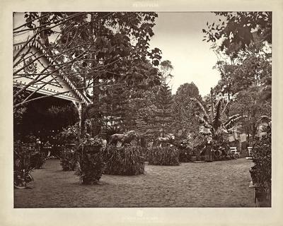 Entrada da Primeira Exposição Hortícola