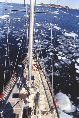 Aventuras de Igor na Antártida