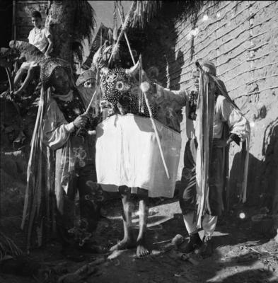 Bumba meu boi, festa popular