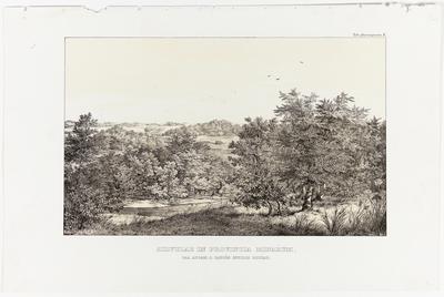 (As matas da Província de Minas [Gerais] que os seus habitantes chamam de "caa-apoam", ou seja, capões [de mato])