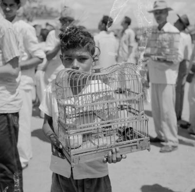Feira dos Passarinhos