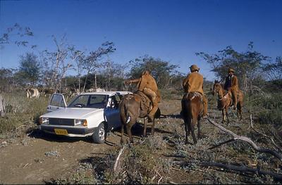 Série Rio São Francisco