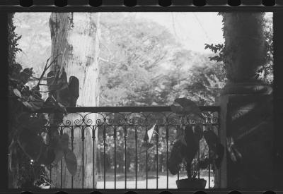 Em busca de fazendas para locacações do filme Os Herdeiros, de Cacá Diegues