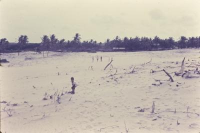 Dunas. Praia em frente ao Quilombo de Sibaúma
