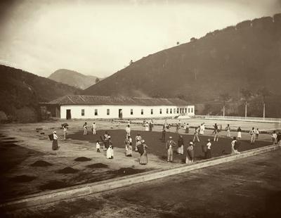 Homens, mulheres e crianças, possivelmente escravizados, e o administrador (ou feitor) trabalham no terreiro de secagem de café