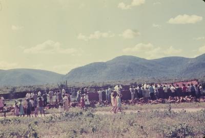 Rodovia Rio-Bahia (BR-116)