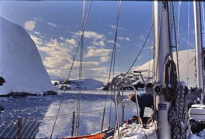 Aventuras de Igor na Antártida