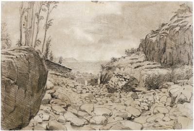 (Vista de Funchal e das ilhas Desertas)