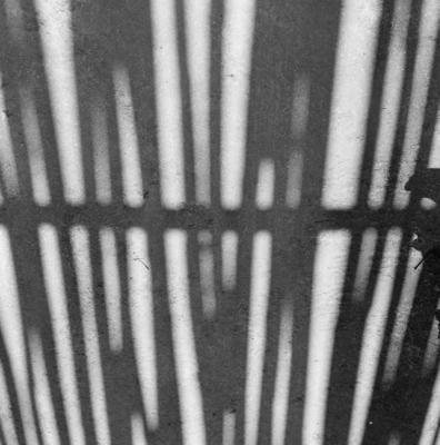 Sítio Burle Marx - sombra