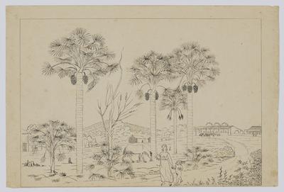 Carandás, Sítio do Cacúnda