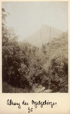 Encosta da Serra dos Órgãos