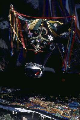 Série Bumba-meu-boi - Festa de São João