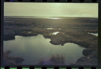 Viagem com a bióloga Livia Monami para registrar a caça da baleia branca