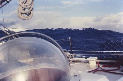 Aventuras de Igor na Antártida